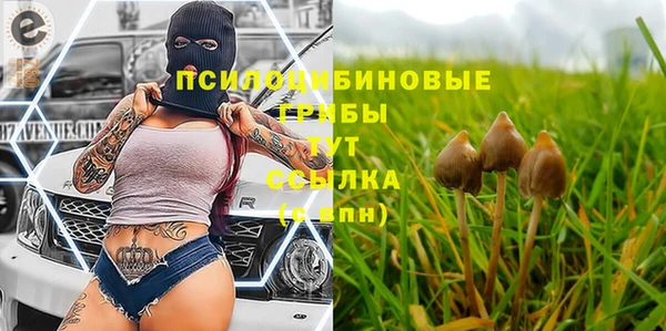 ALPHA PVP Мегион