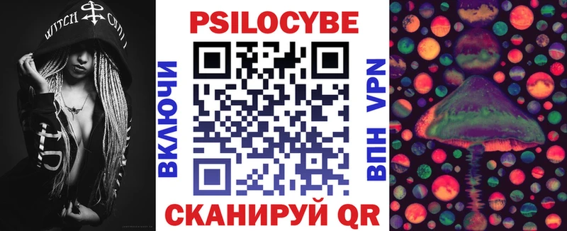 кракен как войти  Новоалександровск  Псилоцибиновые грибы Cubensis  купить  сайты 