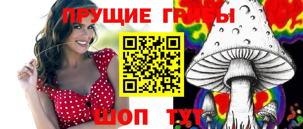 Галлюциногенные грибы прущие грибы Новоалександровск